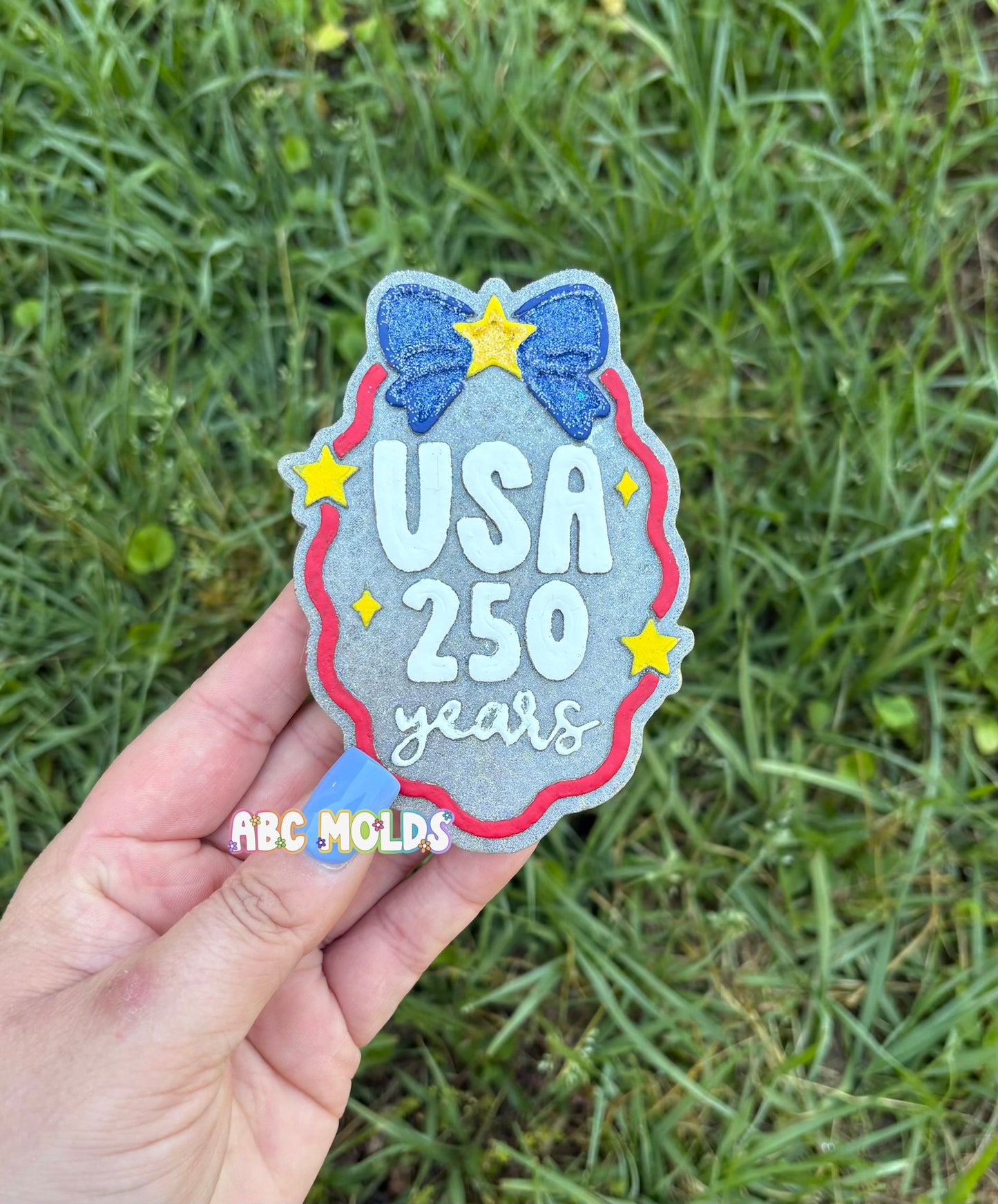 USA Frame Silicone Freshie Mold