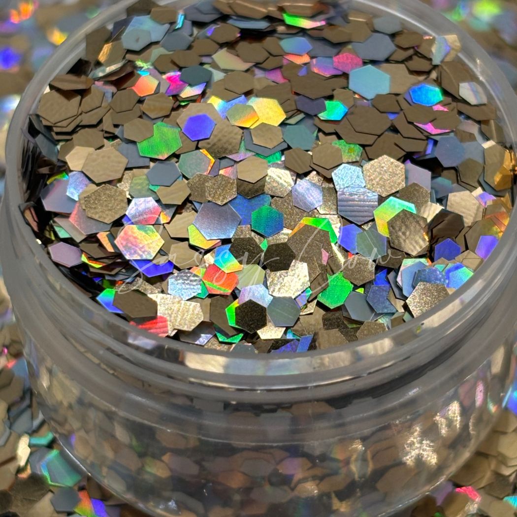 XL OLD MONEY - Snowglobe Series Holographic Glitter Mix