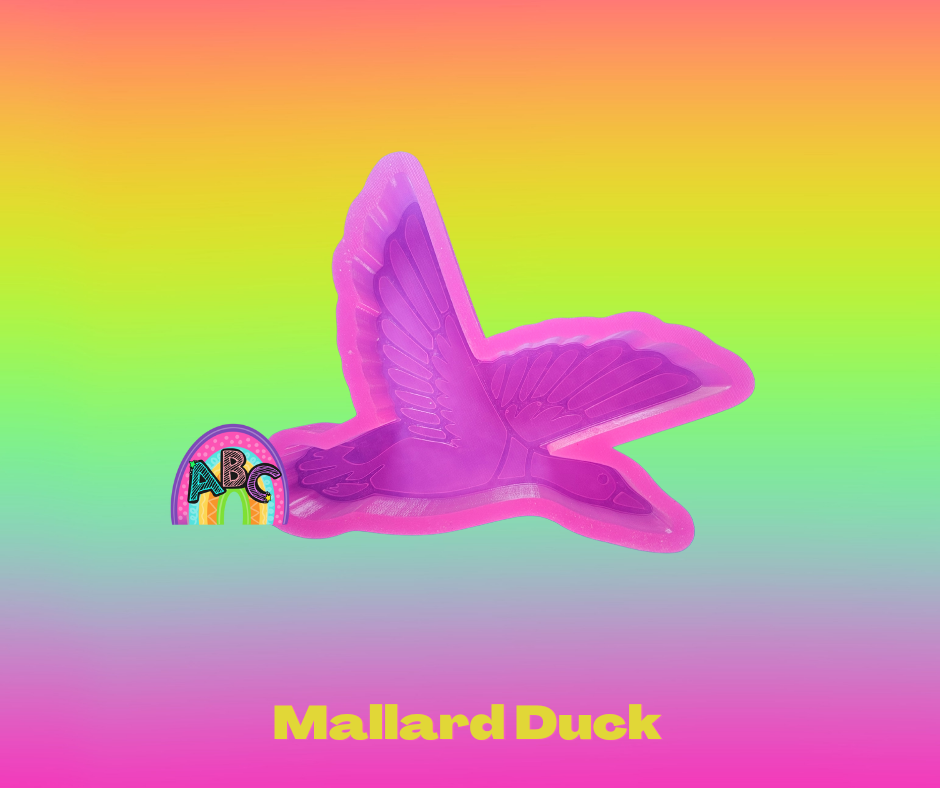 Mallard Duck
