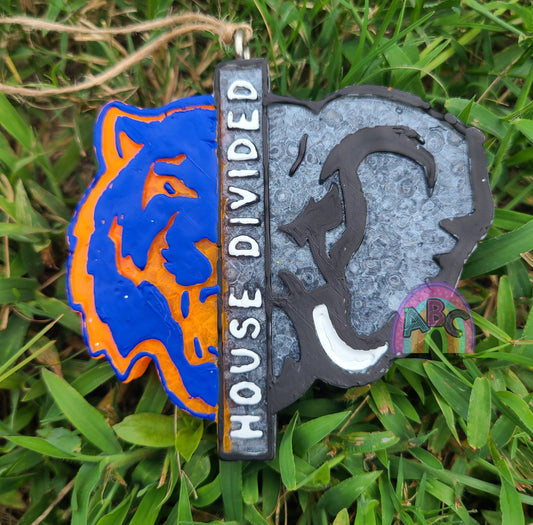 House Divided